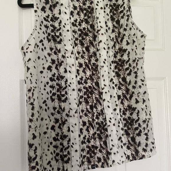 Harve Bernard shell - Picture 2 of 2